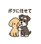 ずーっとラブ！ミニチュアシュナウザー（個別スタンプ：8）