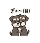 ずーっとラブ！ミニチュアシュナウザー（個別スタンプ：9）