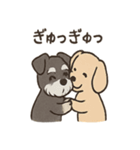 ずーっとラブ！ミニチュアシュナウザー（個別スタンプ：16）