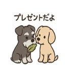 ずーっとラブ！ミニチュアシュナウザー（個別スタンプ：17）