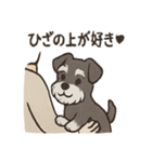 ずーっとラブ！ミニチュアシュナウザー（個別スタンプ：18）