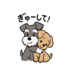 ずーっとラブ！ミニチュアシュナウザー（個別スタンプ：23）