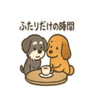 ずーっとラブ！ミニチュアシュナウザー（個別スタンプ：24）
