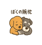 ずーっとラブ！ミニチュアシュナウザー（個別スタンプ：25）
