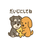ずーっとラブ！ミニチュアシュナウザー（個別スタンプ：26）