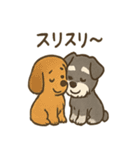 ずーっとラブ！ミニチュアシュナウザー（個別スタンプ：27）