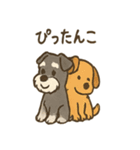 ずーっとラブ！ミニチュアシュナウザー（個別スタンプ：28）