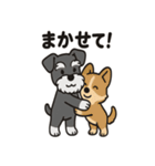 ずーっとラブ！ミニチュアシュナウザー（個別スタンプ：32）