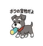 ずーっとラブ！ミニチュアシュナウザー（個別スタンプ：34）