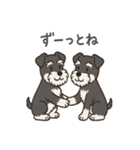 ずーっとラブ！ミニチュアシュナウザー（個別スタンプ：35）