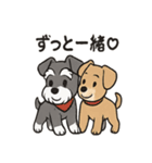 ずーっとラブ！ミニチュアシュナウザー（個別スタンプ：38）