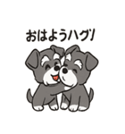 ずーっとラブ！ミニチュアシュナウザー（個別スタンプ：39）
