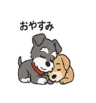 ずーっとラブ！ミニチュアシュナウザー（個別スタンプ：40）