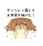 ポジティブ前向きカワウソ[全肯定で褒める]（個別スタンプ：23）