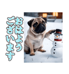 飛び出す★冬を感じるパグ犬_挨拶（個別スタンプ：2）