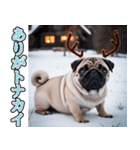 飛び出す★冬を感じるパグ犬_挨拶（個別スタンプ：3）