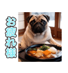 飛び出す★冬を感じるパグ犬_挨拶（個別スタンプ：6）