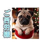 飛び出す★冬を感じるパグ犬_挨拶（個別スタンプ：7）