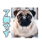 飛び出す★冬を感じるパグ犬_挨拶（個別スタンプ：9）