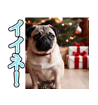 飛び出す★冬を感じるパグ犬_挨拶（個別スタンプ：12）