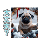 飛び出す★冬を感じるパグ犬_挨拶（個別スタンプ：15）