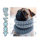 飛び出す★冬を感じるパグ犬_挨拶（個別スタンプ：20）