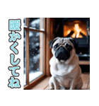 飛び出す★冬を感じるパグ犬_挨拶（個別スタンプ：21）