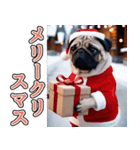 飛び出す★冬を感じるパグ犬_挨拶（個別スタンプ：23）