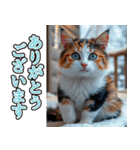 飛び出す★冬を感じる三毛猫_挨拶（個別スタンプ：4）