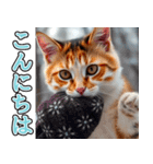 飛び出す★冬を感じる三毛猫_挨拶（個別スタンプ：13）
