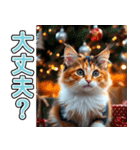 飛び出す★冬を感じる三毛猫_挨拶（個別スタンプ：15）