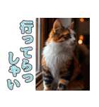 飛び出す★冬を感じる三毛猫_挨拶（個別スタンプ：19）