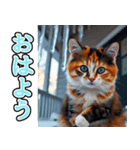 背景が動く★冬を感じる三毛猫_挨拶（個別スタンプ：1）