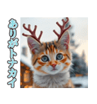 背景が動く★冬を感じる三毛猫_挨拶（個別スタンプ：3）