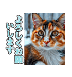 背景が動く★冬を感じる三毛猫_挨拶（個別スタンプ：5）