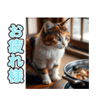 背景が動く★冬を感じる三毛猫_挨拶（個別スタンプ：6）