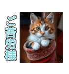 背景が動く★冬を感じる三毛猫_挨拶（個別スタンプ：7）