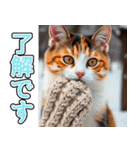 背景が動く★冬を感じる三毛猫_挨拶（個別スタンプ：9）