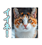 背景が動く★冬を感じる三毛猫_挨拶（個別スタンプ：12）