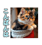 背景が動く★冬を感じる三毛猫_挨拶（個別スタンプ：14）