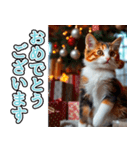背景が動く★冬を感じる三毛猫_挨拶（個別スタンプ：16）