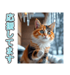 背景が動く★冬を感じる三毛猫_挨拶（個別スタンプ：17）