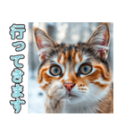 背景が動く★冬を感じる三毛猫_挨拶（個別スタンプ：20）