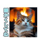 背景が動く★冬を感じる三毛猫_挨拶（個別スタンプ：21）