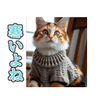 背景が動く★冬を感じる三毛猫_挨拶（個別スタンプ：22）
