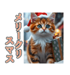 背景が動く★冬を感じる三毛猫_挨拶（個別スタンプ：23）