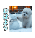 飛び出す★冬を感じるマルチーズ_挨拶（個別スタンプ：1）