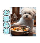 飛び出す★冬を感じるマルチーズ_挨拶（個別スタンプ：6）