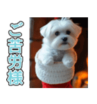 飛び出す★冬を感じるマルチーズ_挨拶（個別スタンプ：7）