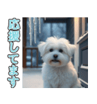 飛び出す★冬を感じるマルチーズ_挨拶（個別スタンプ：17）